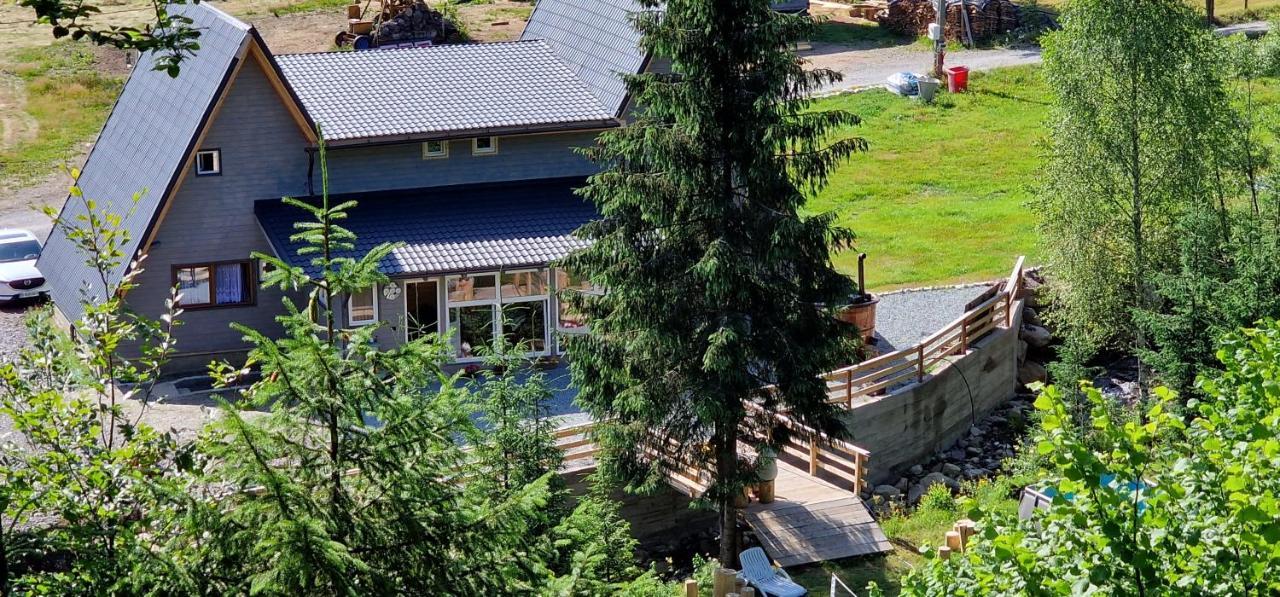 Cabana Din Vale Arieseni Apuseni Экстерьер фото